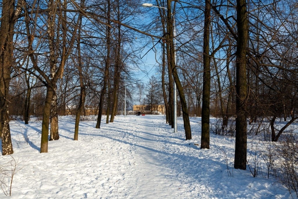 Парк железнодорожников. Фото: "Республика"/Леонид Николаев